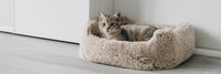 Kattenmand