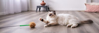 Kattenhengel