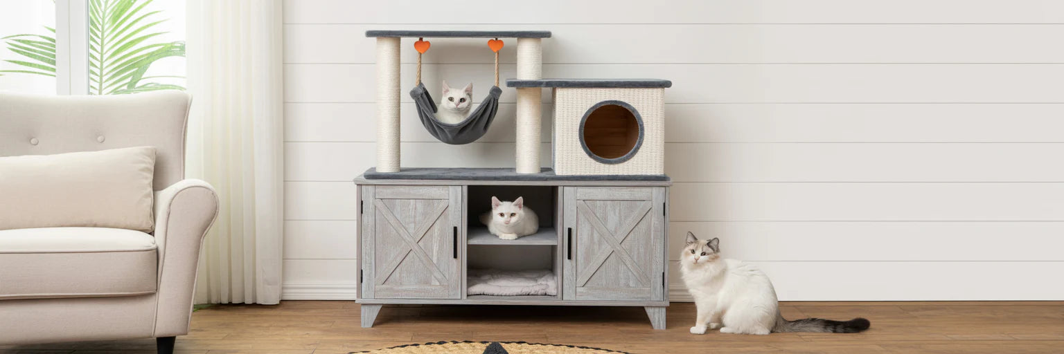Kattenhuis