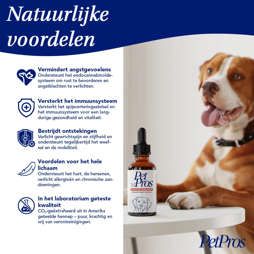 Hond CBD Olie | PetPros