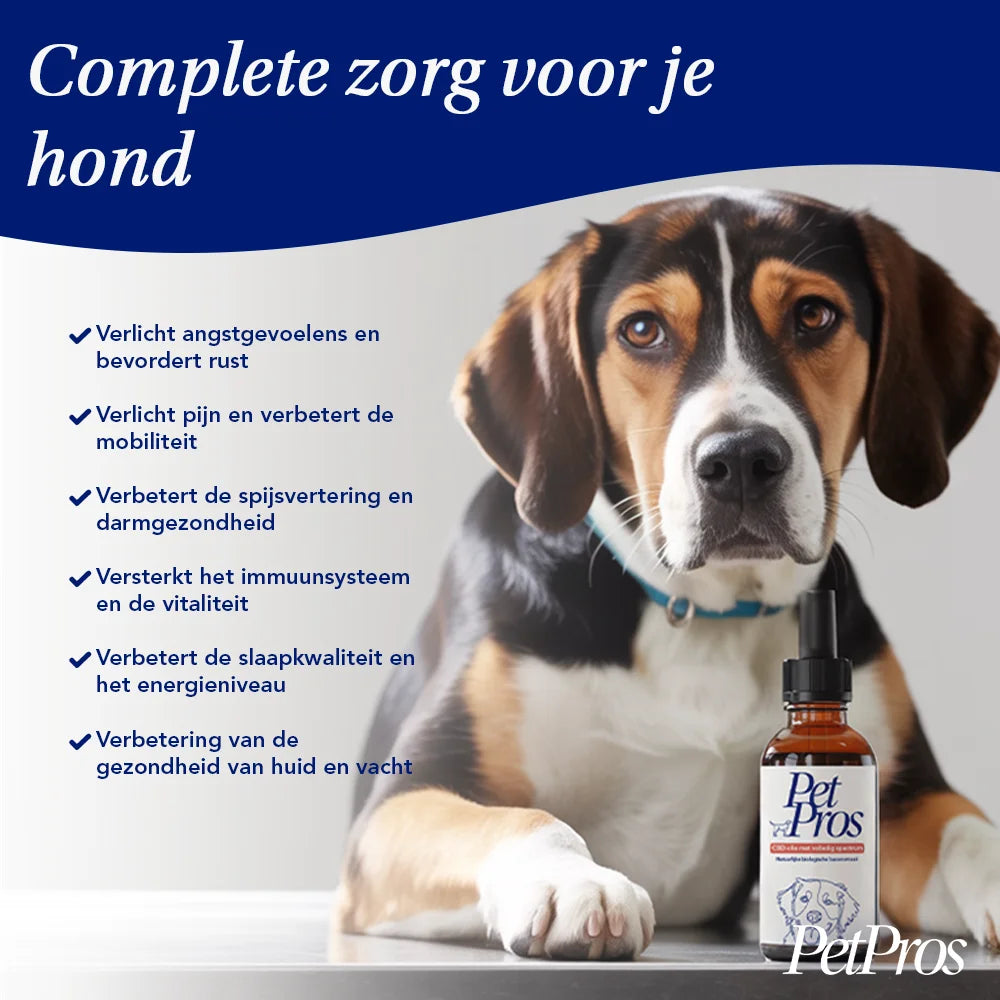 Hond CBD Olie | PetPros