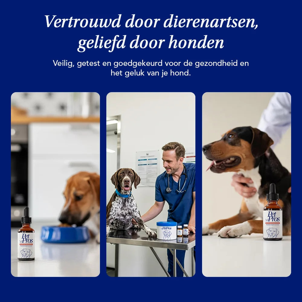 Hond CBD Olie | PetPros