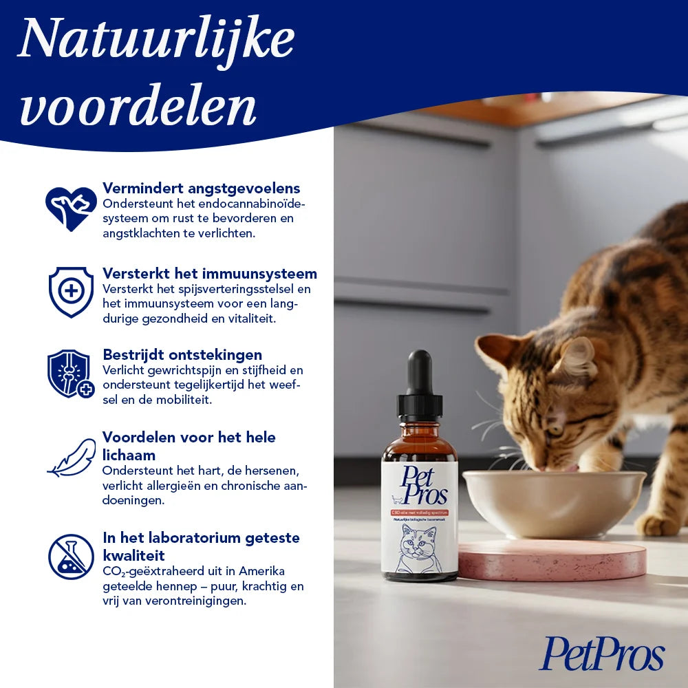 Kat CBD Olie | PetPros