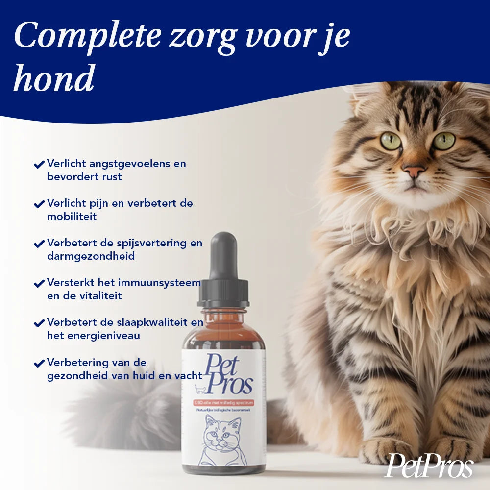 Kat CBD Olie | PetPros