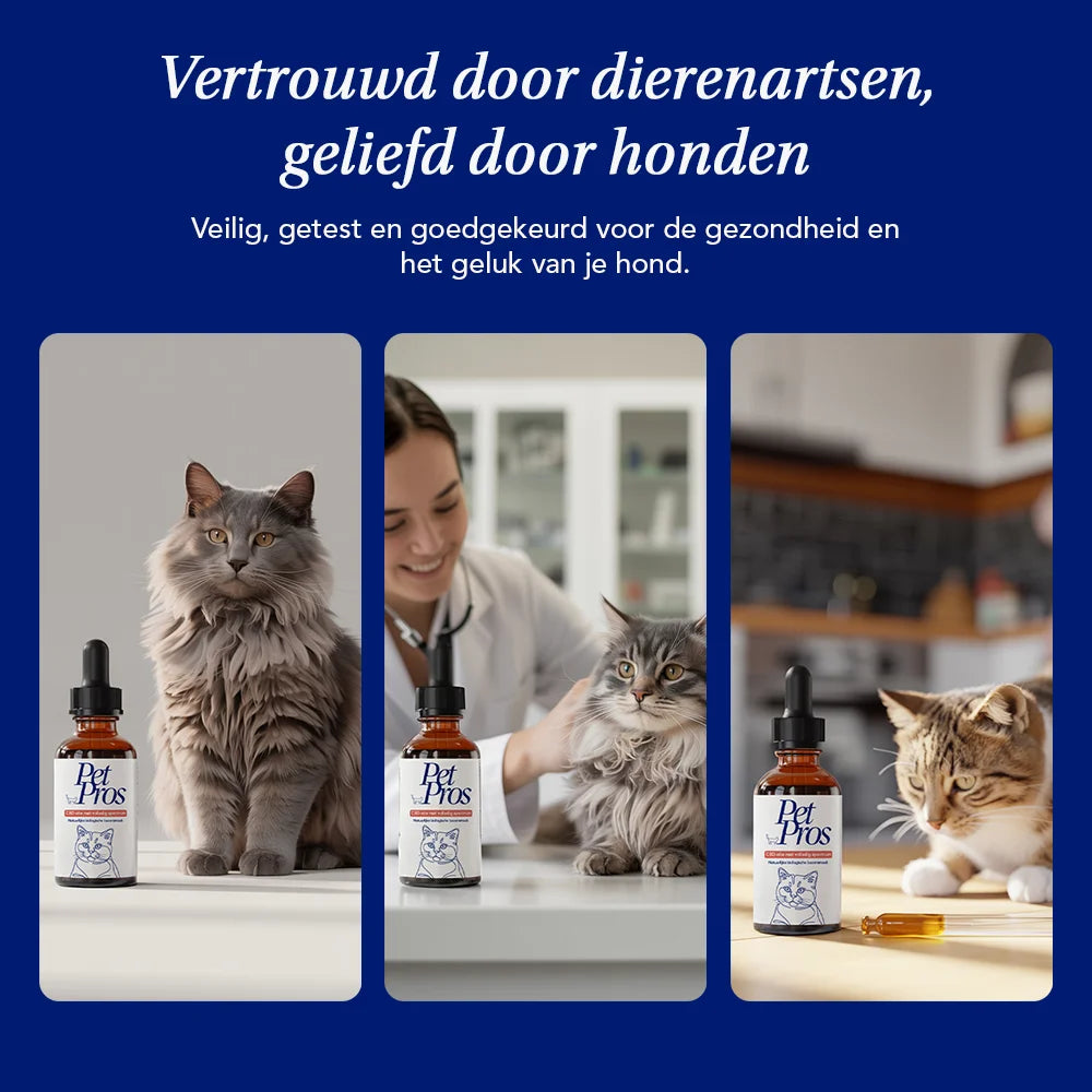 Kat CBD Olie | PetPros
