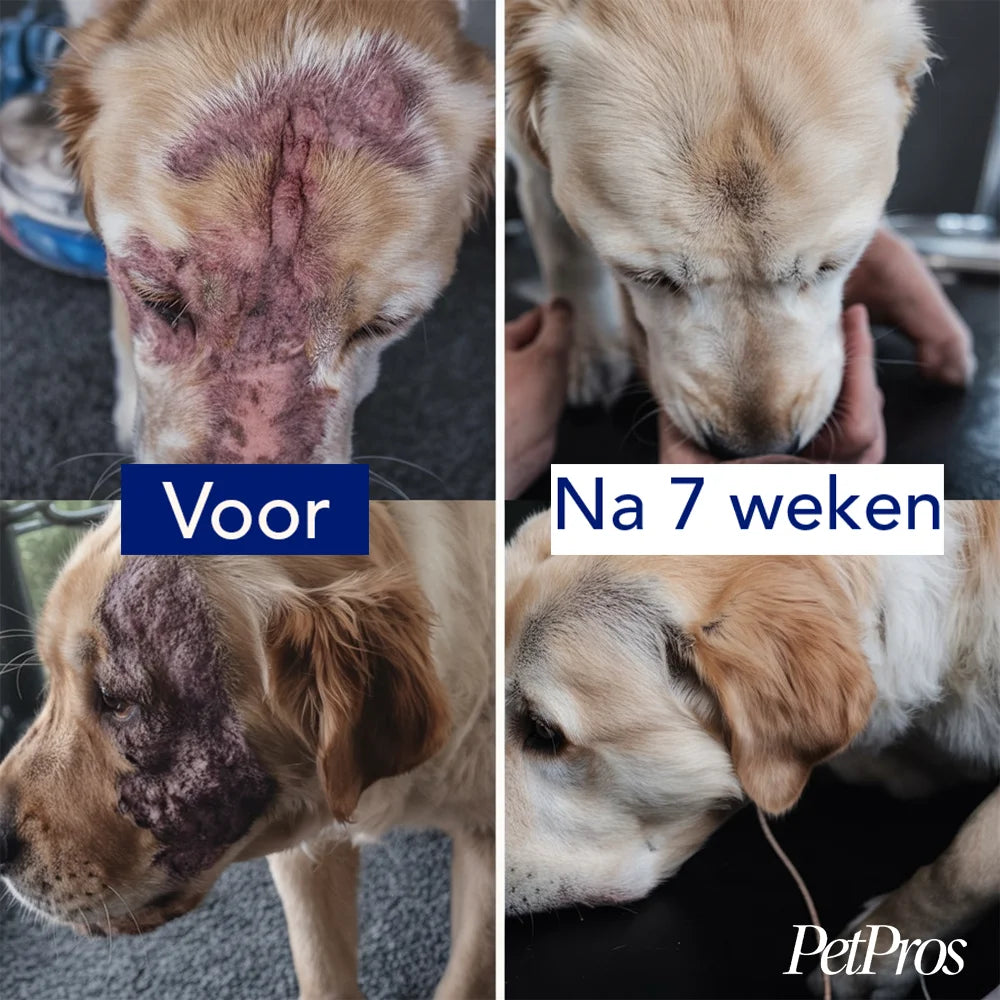 Anti-Jeuk Probiotica voor Honden | PetPros