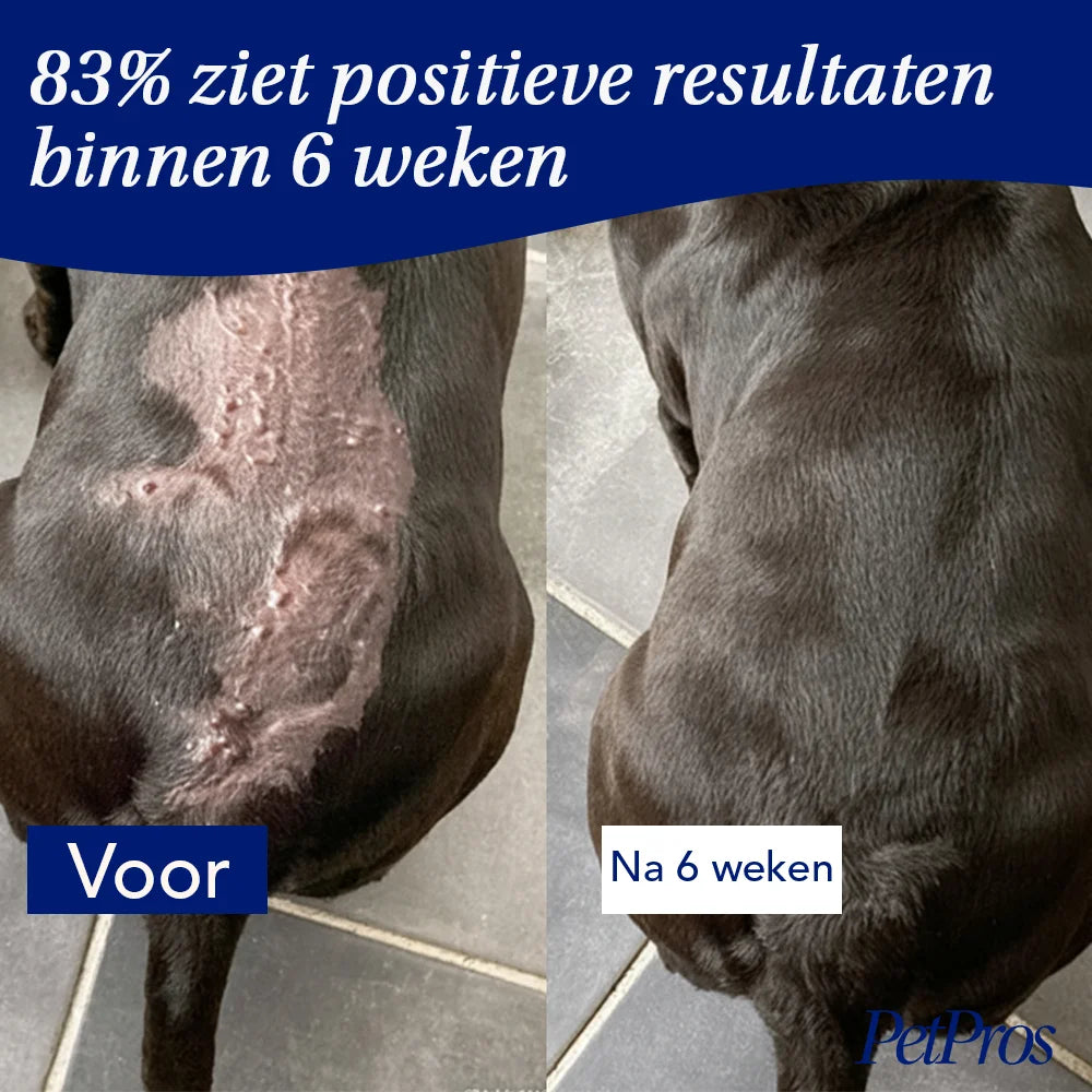 Anti-Jeuk Probiotica voor Honden | PetPros
