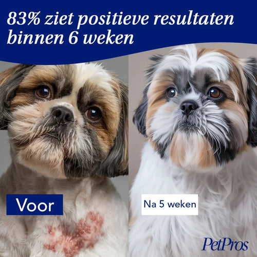 Anti-Jeuk Probiotica voor Honden | PetPros
