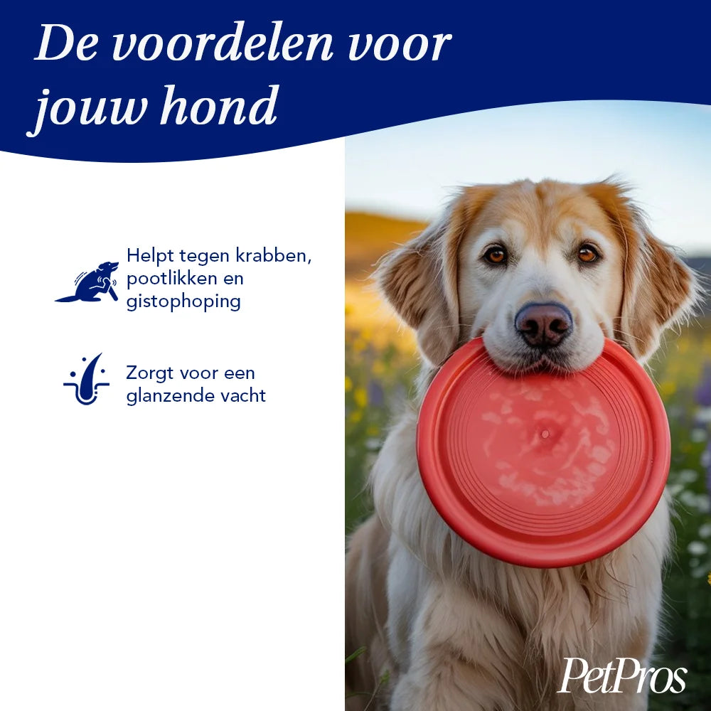 Anti-Jeuk Spray voor Honden – Directe Verzachting | PetPros