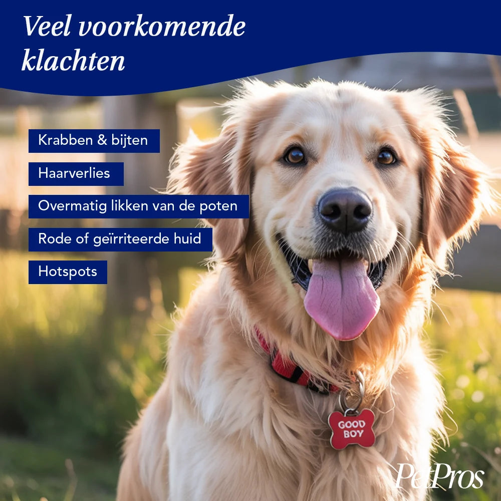 Anti-Jeuk Spray voor Honden – Directe Verzachting | PetPros