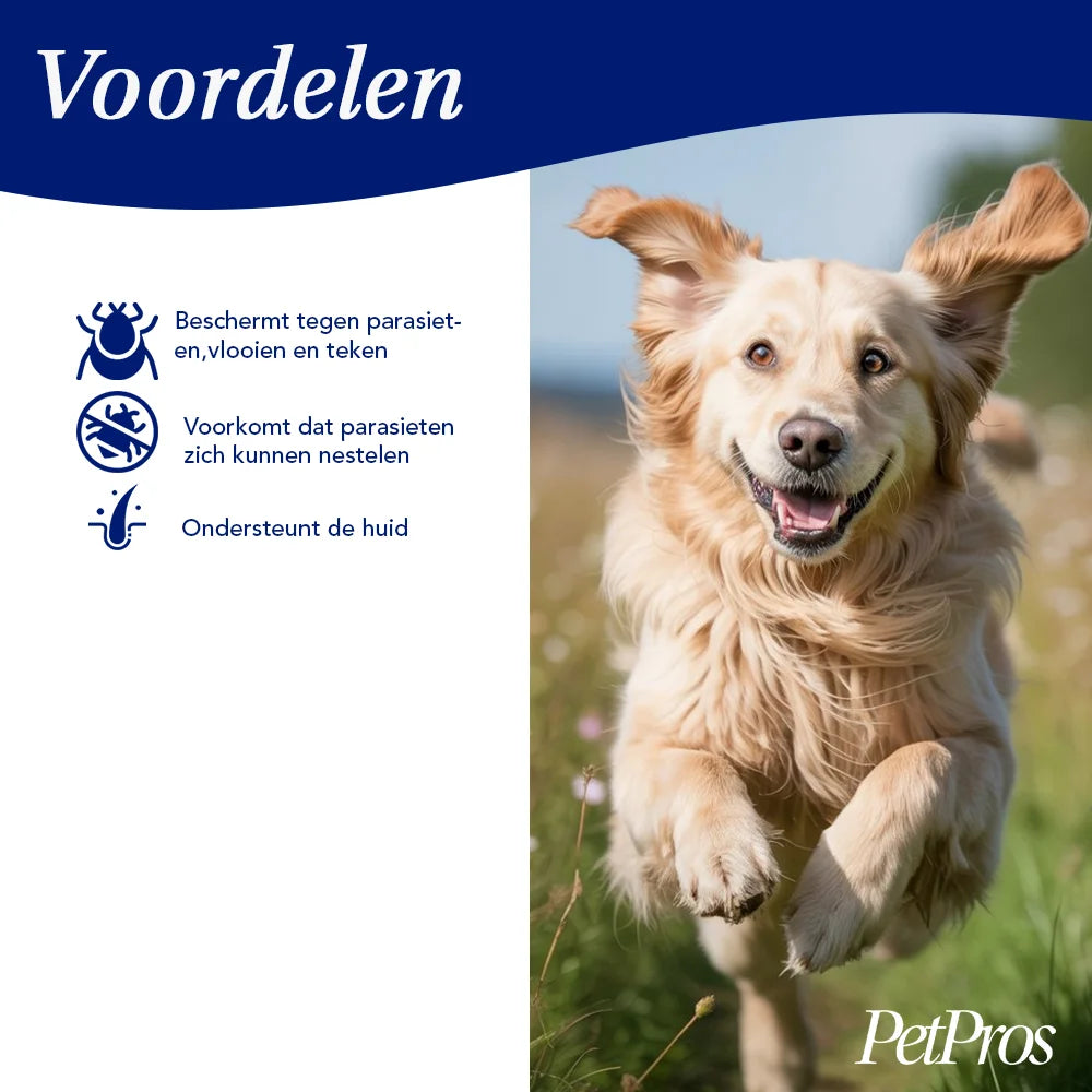 Verticale meerlaagse krabplank met vezel-krabpaal | PetPros