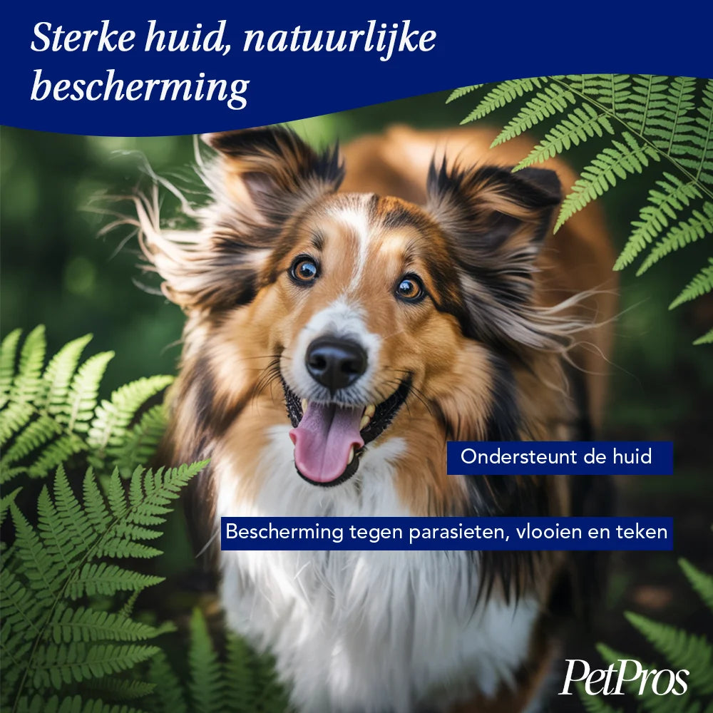 Verticale meerlaagse krabplank met vezel-krabpaal | PetPros