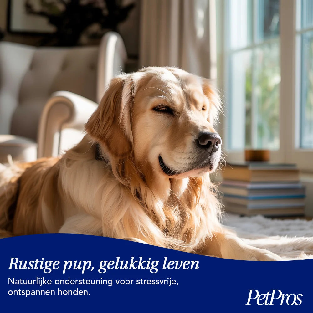 Grote Hond Anti-Stress & Angst Supplement | PetPros