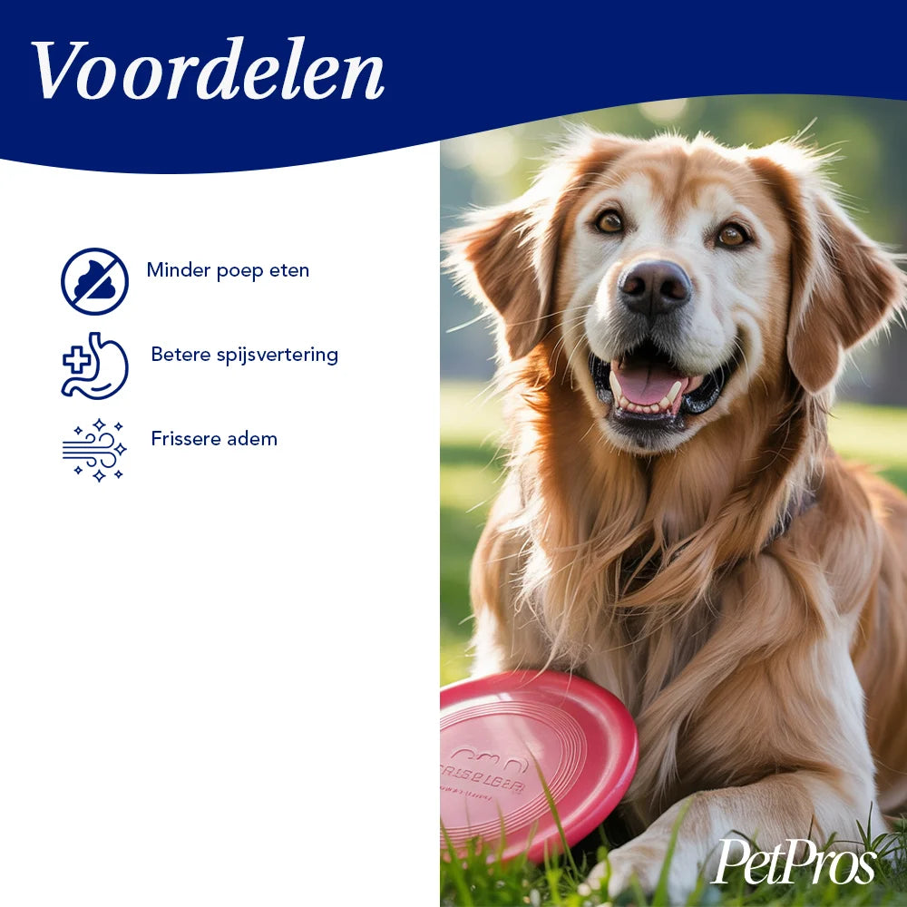 Anti Poep Eten Supplement Hond – Tegen Coprofagie | PetPros