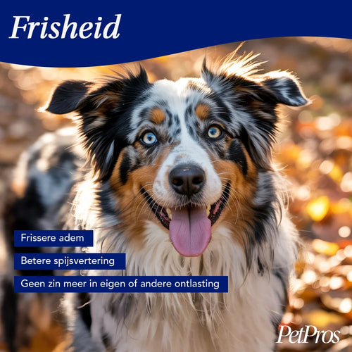 Anti Poep Eten Supplement Hond – Tegen Coprofagie | PetPros