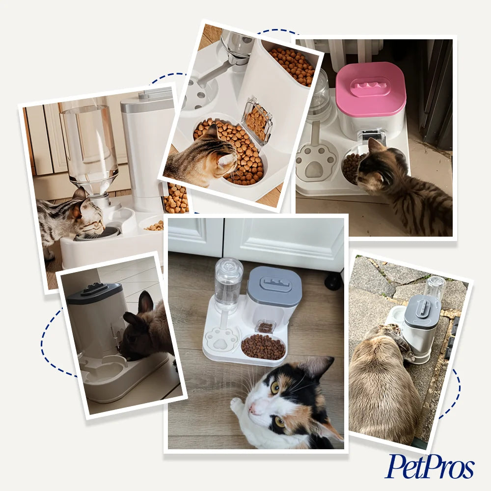 Automatische Waterdispenser & Voerbak Kat/Hond | PetPros