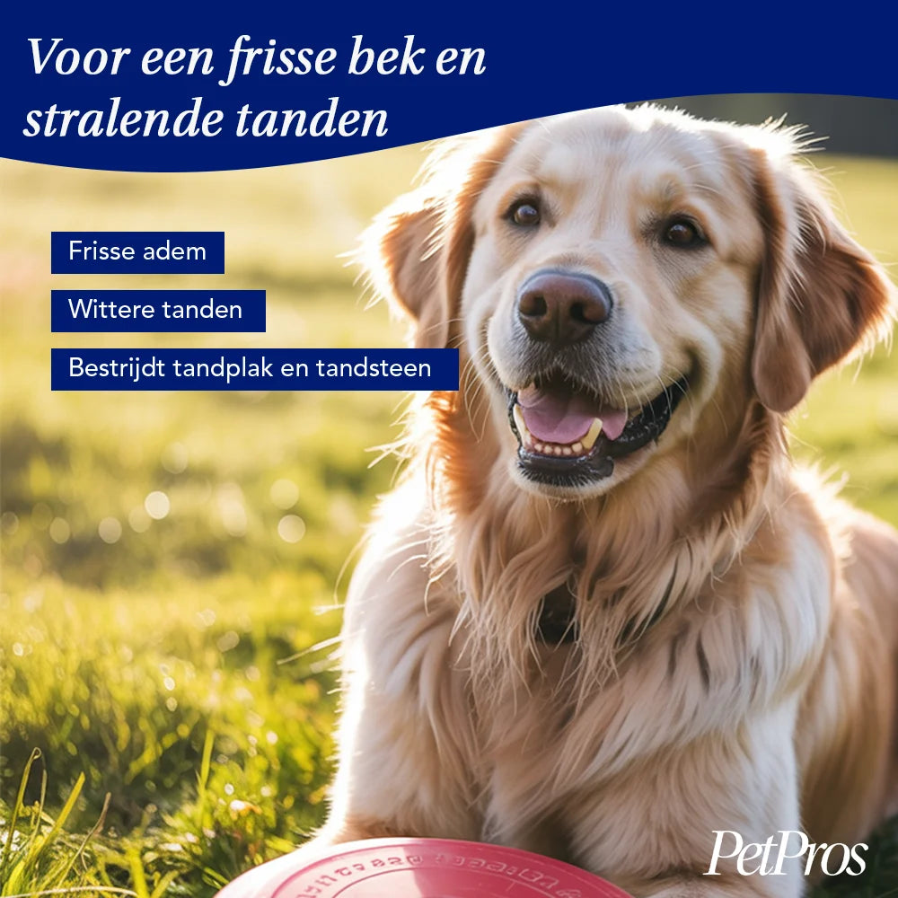 Dental Liquid voor Honden – Frisse Adem & Gebitsverzorging | PetPros