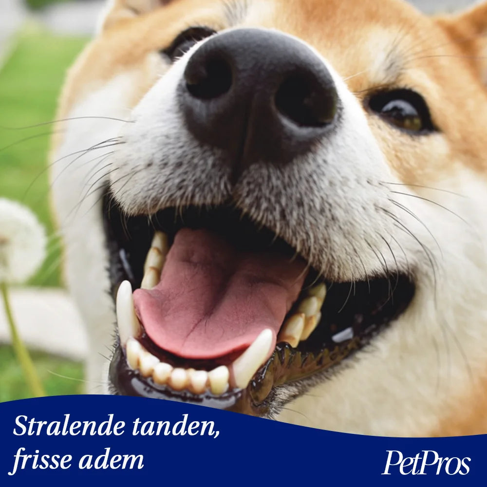 Dental Sticks voor honden – Gezond gebit & frisse adem | PetPros