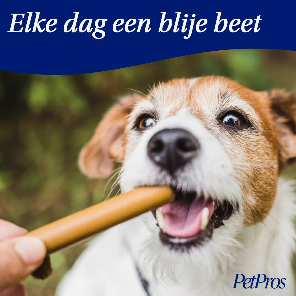 Dental Sticks voor honden – Gezond gebit & frisse adem | PetPros