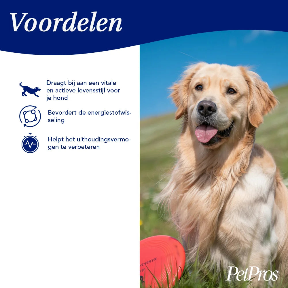 Gezond Gewicht Support | PetPros