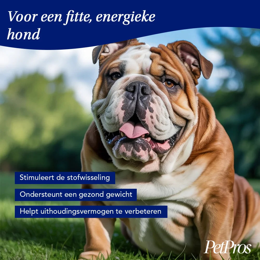 Gezond Gewicht Support | PetPros