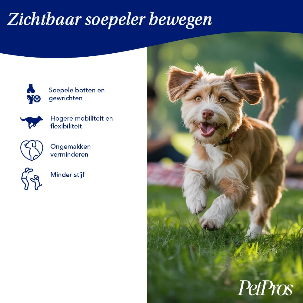 Glucosamine voor Honden | Glucosamine | PetPros