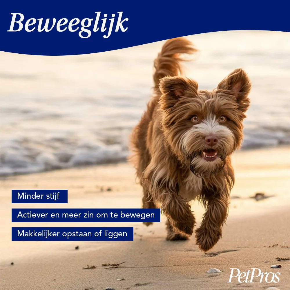 Glucosamine voor Honden | Glucosamine | PetPros