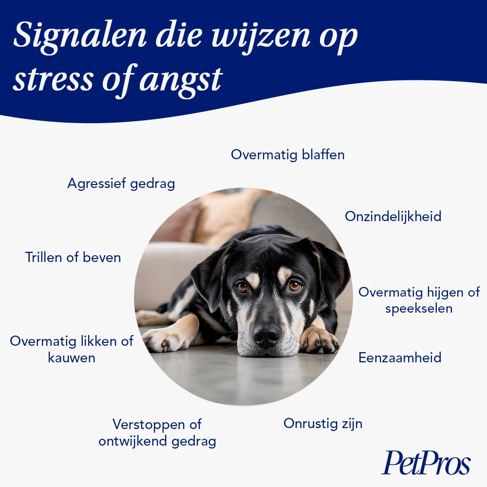 HondXL⁺ Anti-Stress & Angst