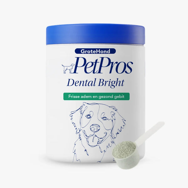 HondXL⁺ Dental Bright
