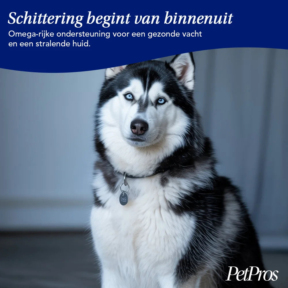 HondXL⁺ Huid & Vacht