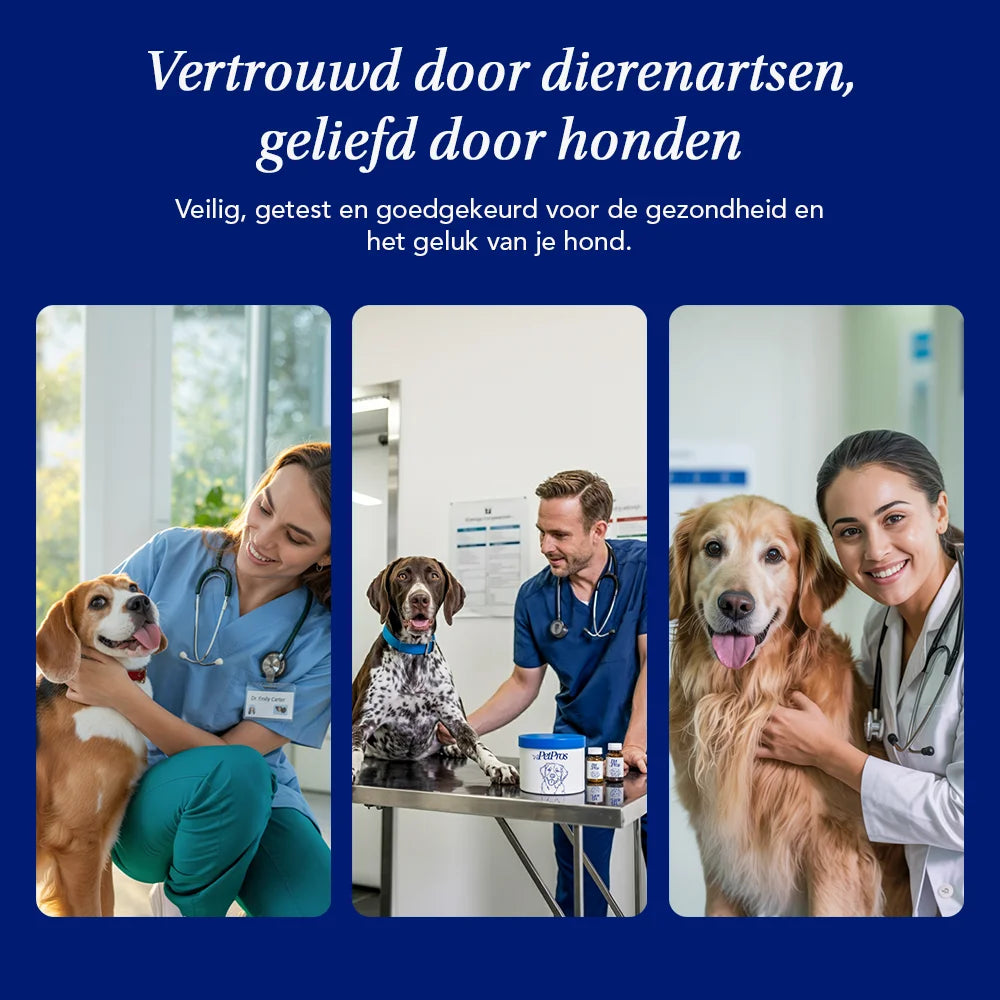 HondXL⁺ Probiotica Forte
