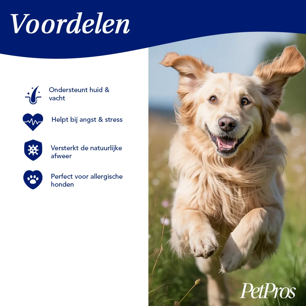 Hennepzaadolie voor Honden | PetPros