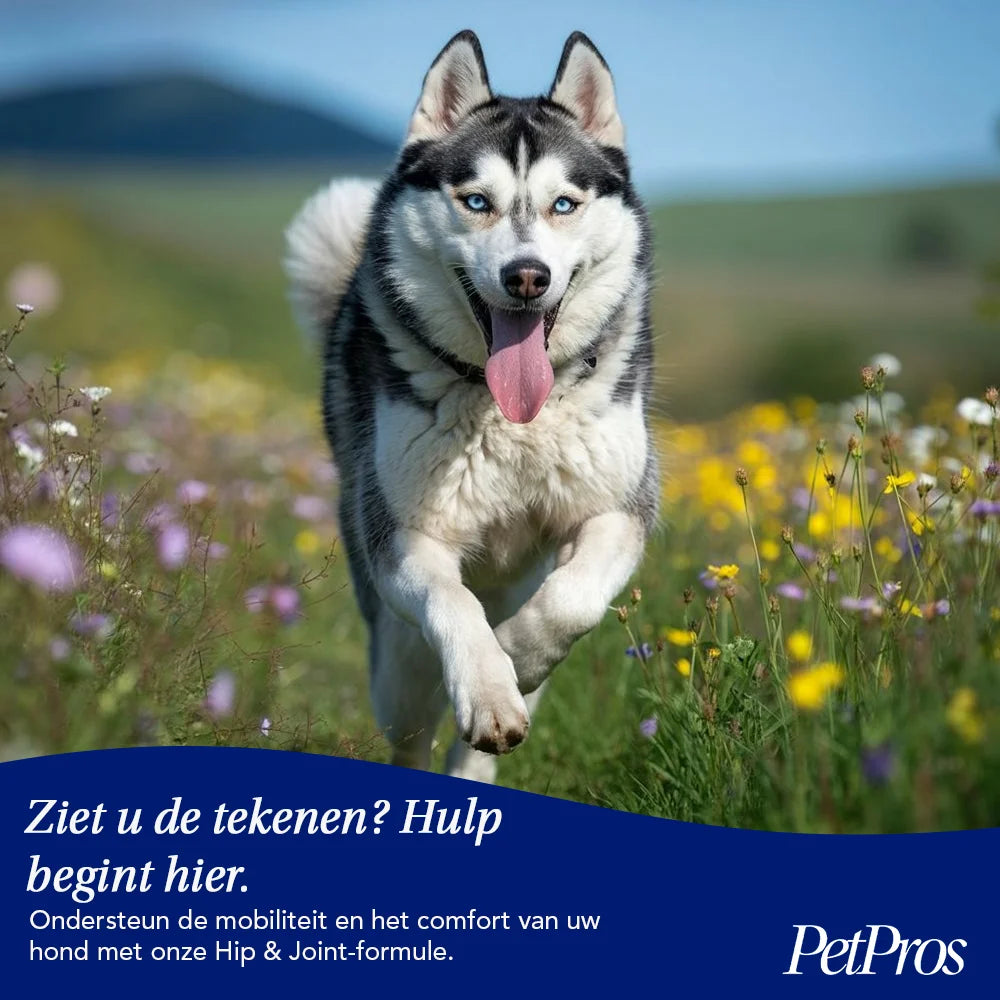 Heup & Gewrichten Honden Supplement | PetPros