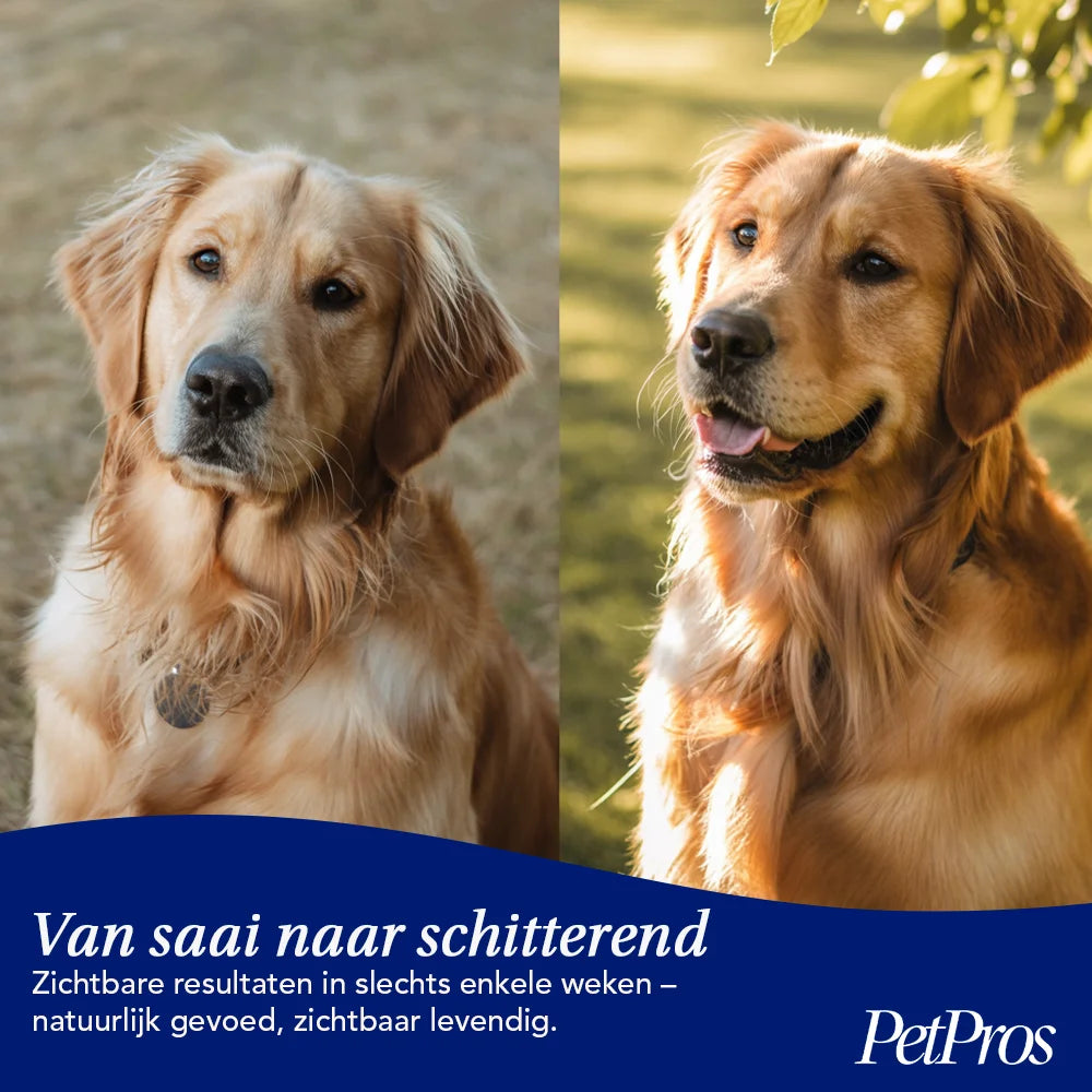 Huid & Vacht Supplement Hond | PetPros