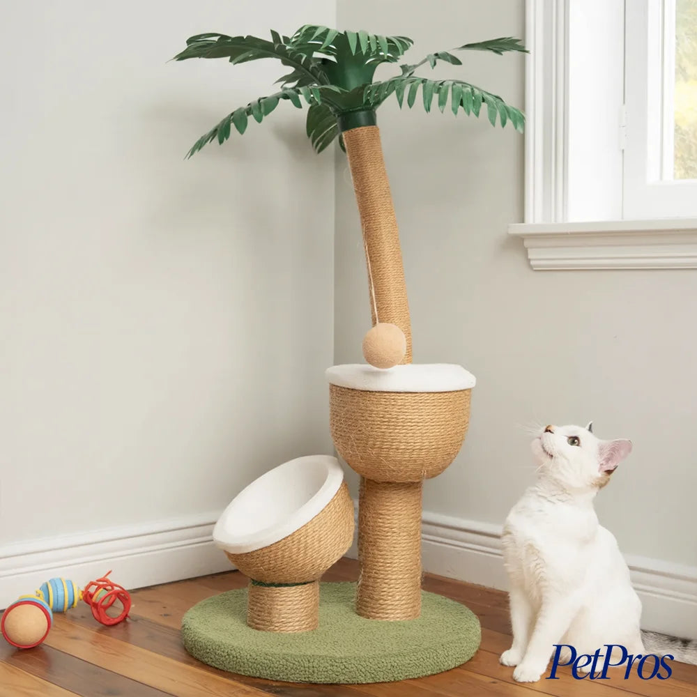 PetPros Krabpaal Palmboom – Tropisch Design | PetPros