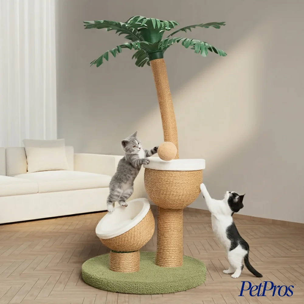 PetPros Krabpaal Palmboom – Tropisch Design | PetPros