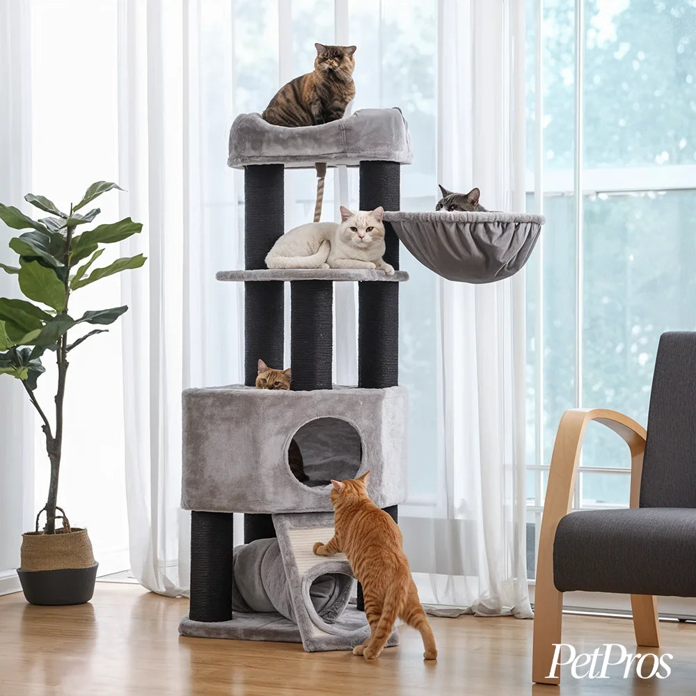 Krabpaal Grote Kat | PetPros