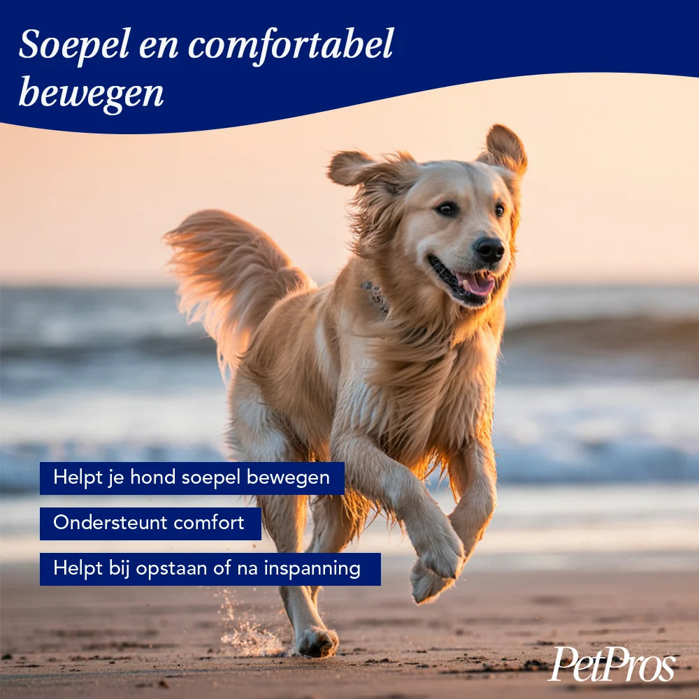 SiliciumBoost – Gewrichten & Mobiliteit | PetPros