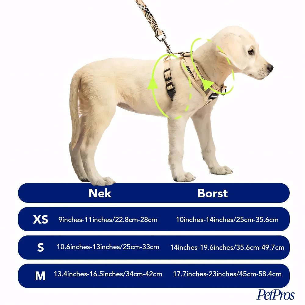 Verstelbare Riem Set voor Kleine Huisdieren