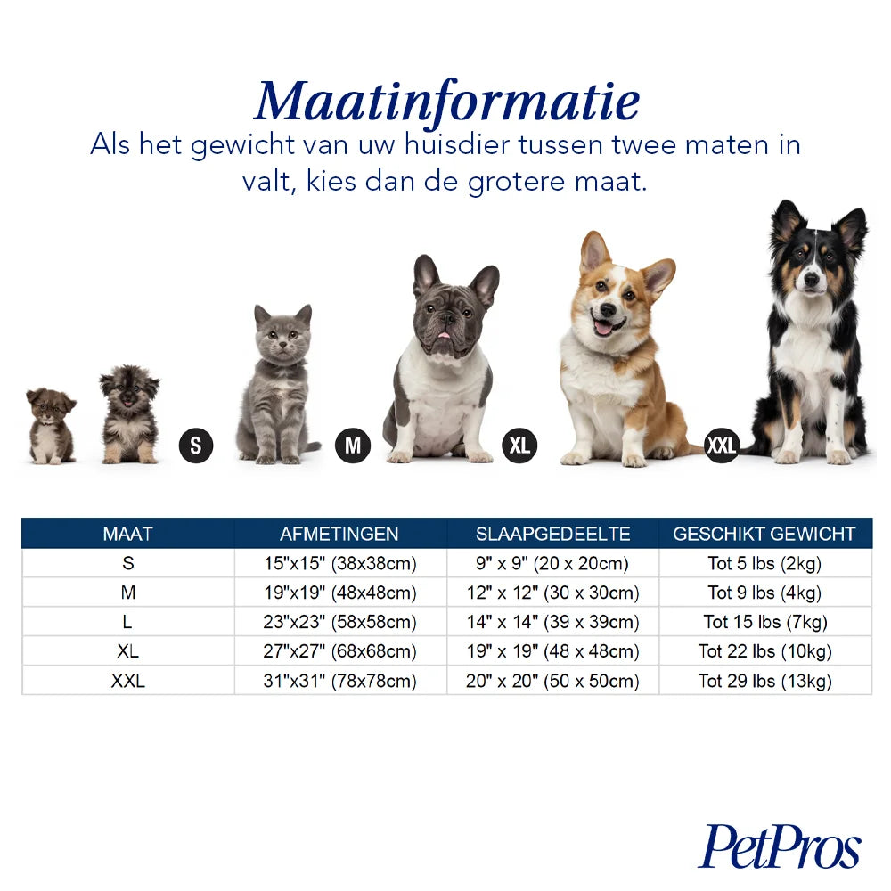 Pluche Hondenharnas met Riem | PetPros