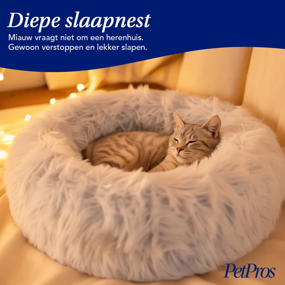Pluche Hondenharnas met Riem | PetPros