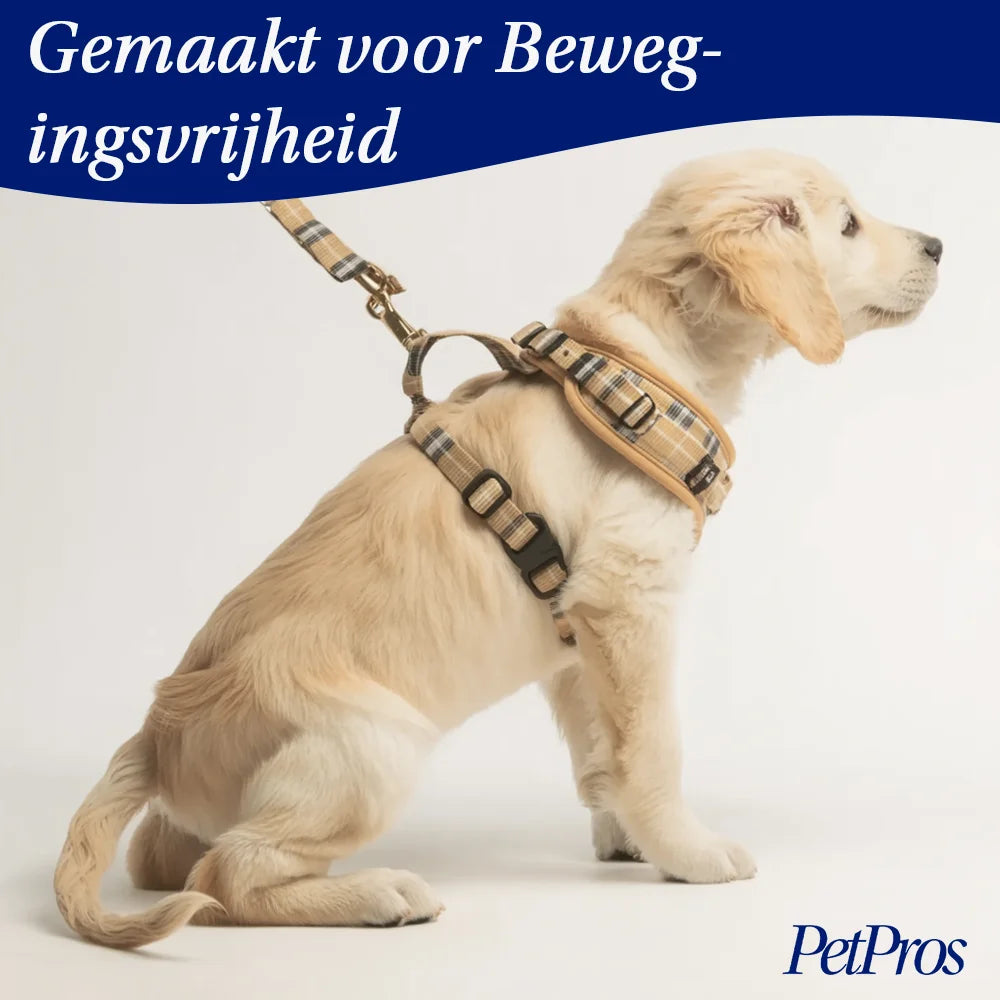 Verstelbare Riem Set voor Kleine Huisdieren