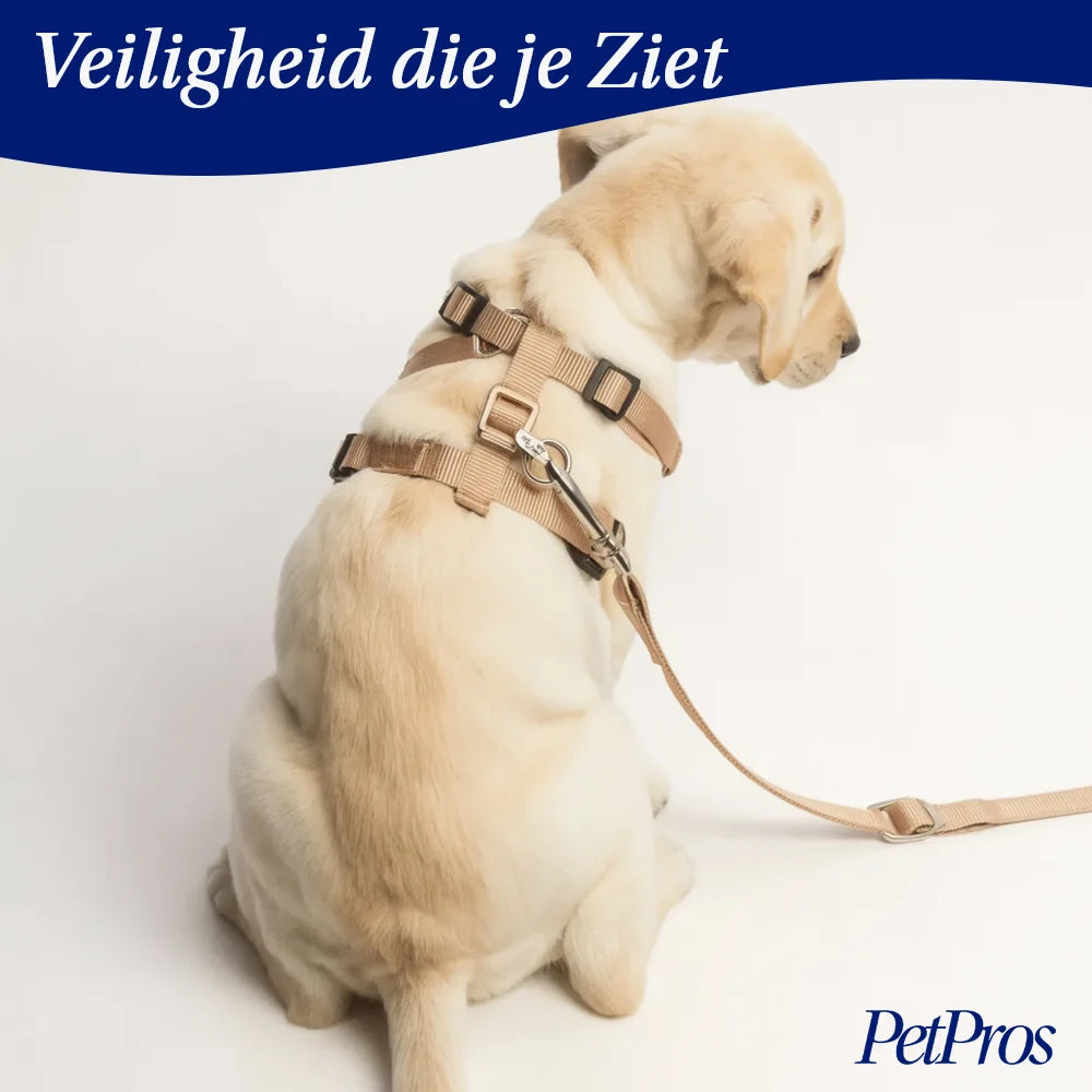 Verstelbare Riem Set voor Kleine Huisdieren