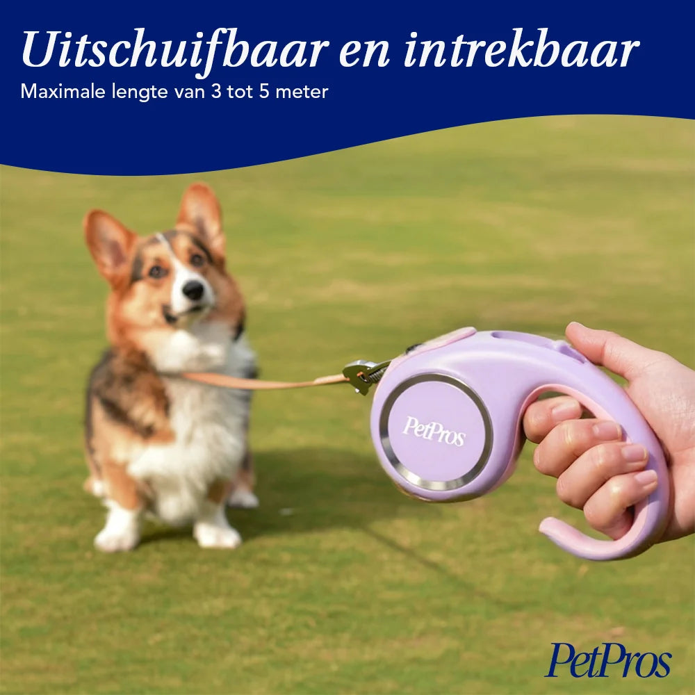 Twee-in-een RVS Hondenbakset – Grijs | PetPros